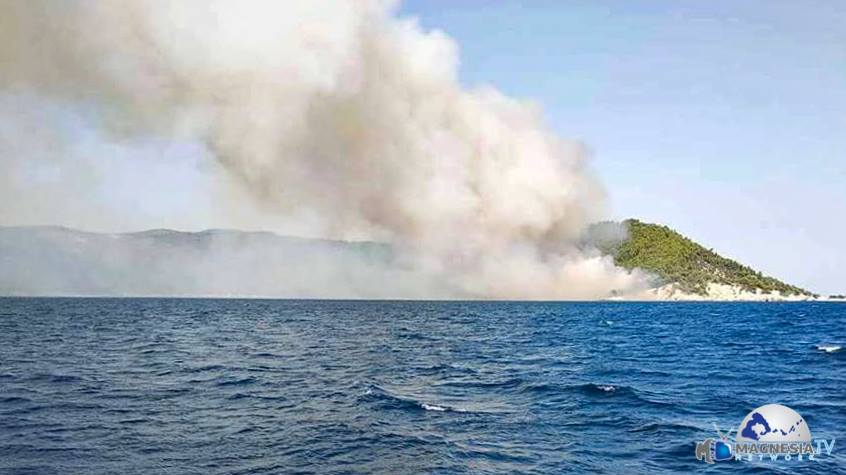 Αμάραντος Αγνώντας Σκόπελο (1)