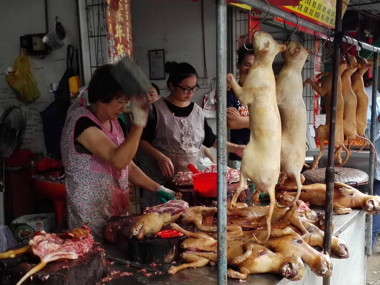 China Dog Trade