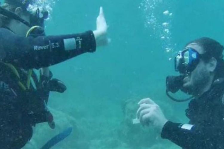 Alonnisos Engagement Underwater Museum