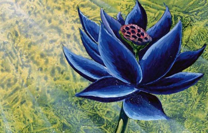 Magic: The Gathering: Η σπάνια κάρτα Black Lotus πουλήθηκε $511