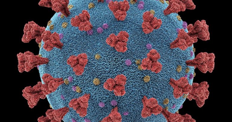 Coronavirus Particles