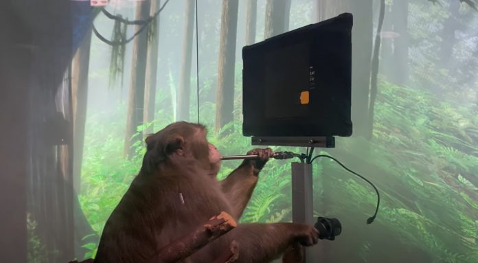 Neuralink: Δείτε έναν πίθηκο να παίζει Pong με το μυαλό του