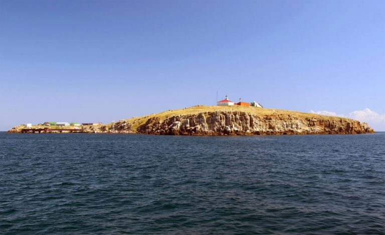 Zmiinyi Island