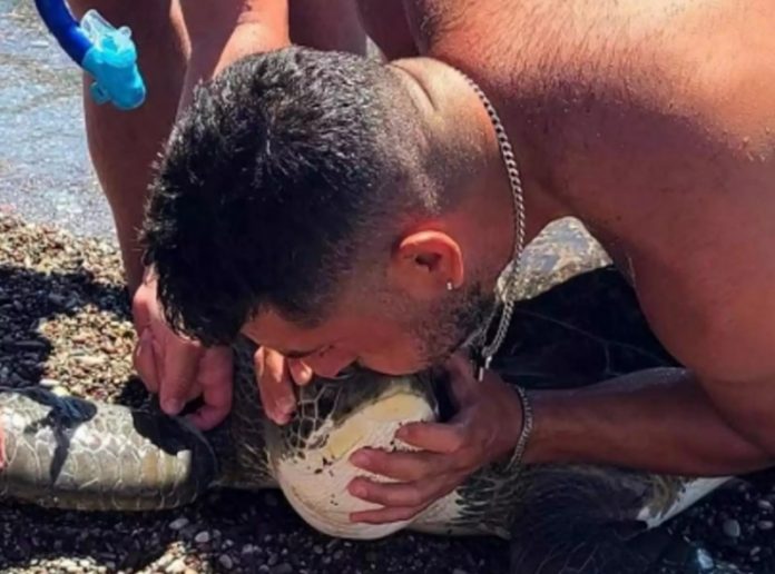 Η στιγμή που δύτης κάνει τεχνητή αναπνοή και σώζει θαλάσσια χελώνα που μπλέχτηκε σε σχοινιά